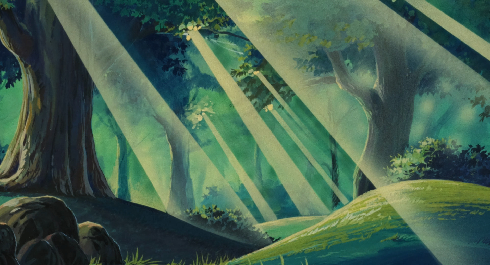 Beams of sunlight poke through the treetops