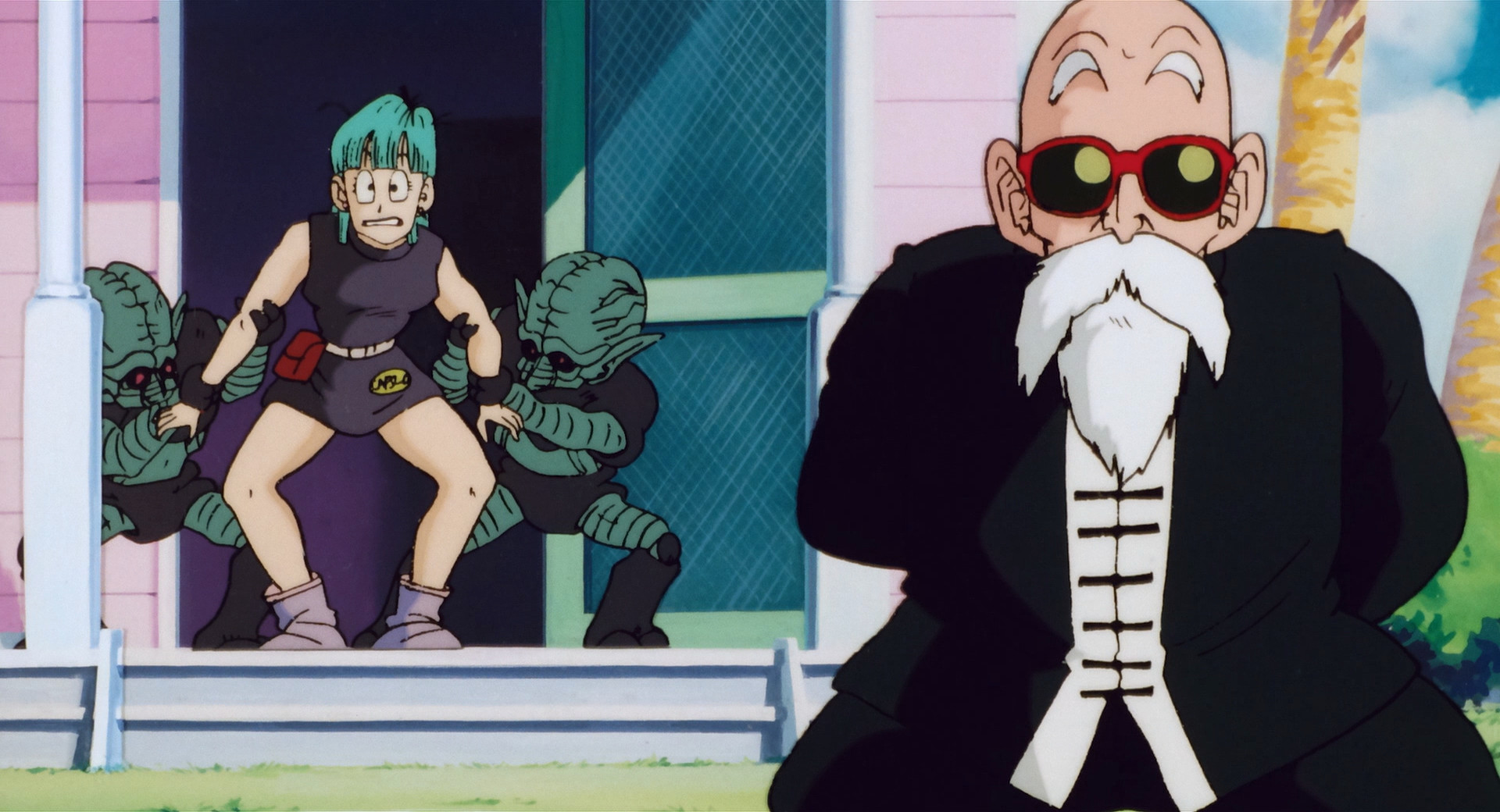The Turtle Hermit and Bulma are abducted